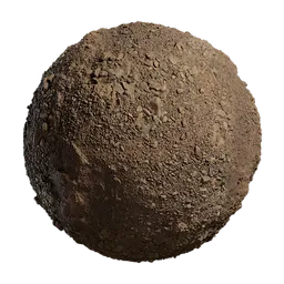 Riverbed Soil Surface