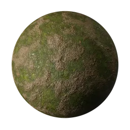 Muddy ground with moss