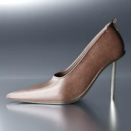 High-Heeled Brown Leather Shoe