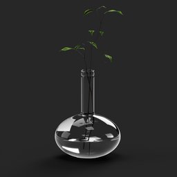 Bottle Plant Vase