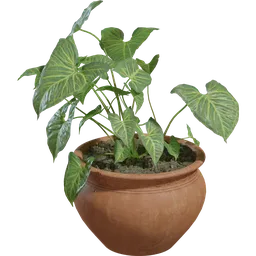 Realistic terracotta pot with lush green plant, Blender 3D model, perfect for interior visualization.