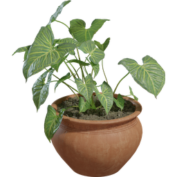 Potted Plant 02