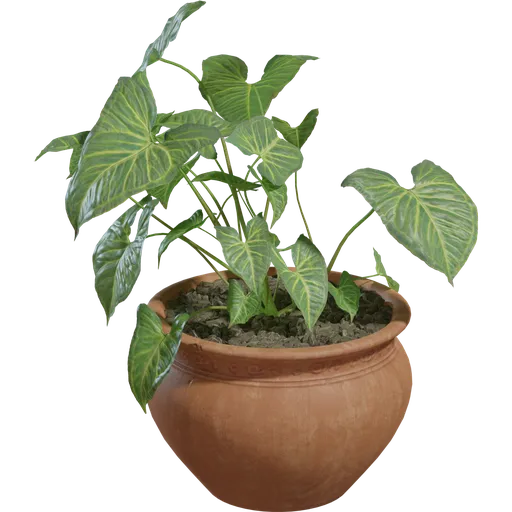 Potted Plant 02