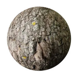 Aged Tree Bark Material