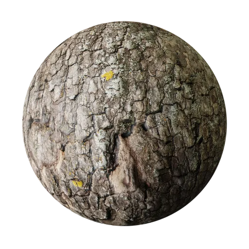 Aged Tree Bark Material