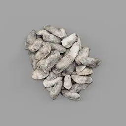 Pile of Dried Mango Seeds