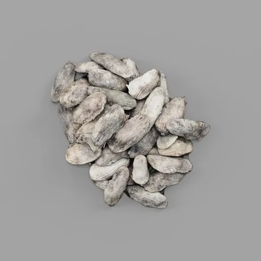 Pile of Dried Mango Seeds