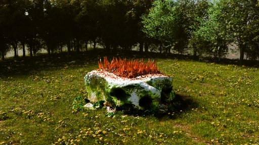 Image 11