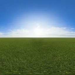 Green grass cloudy blue sky pure sky