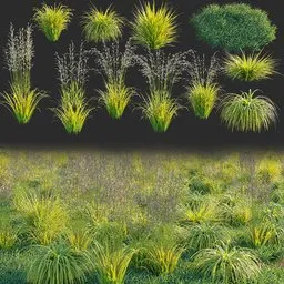 Realistic 3D plant models with translucent leaves and white petals for professional landscaping in Blender.