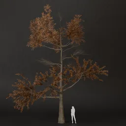 SJ-Bare Season Pine Tree