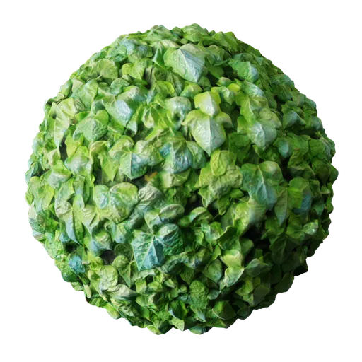 High-quality, realistic ivy PBR texture with detailed displacement for 3D modeling and rendering in Blender and other applications.