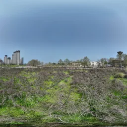 Green forest building