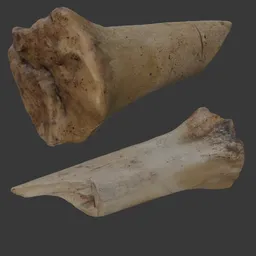 Bone scanned