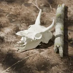 Forest Skull Scene