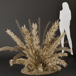 SJ- Pampas Boho Style Bush