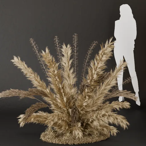 SJ- Pampas Boho Style Bush