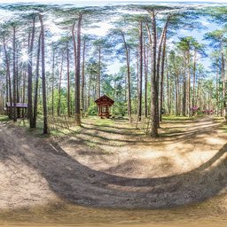High-resolution panoramic forest HDR for 3D scene lighting with detailed trees, shadows, and cabin.
