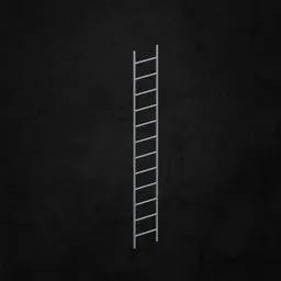Exterior ladder