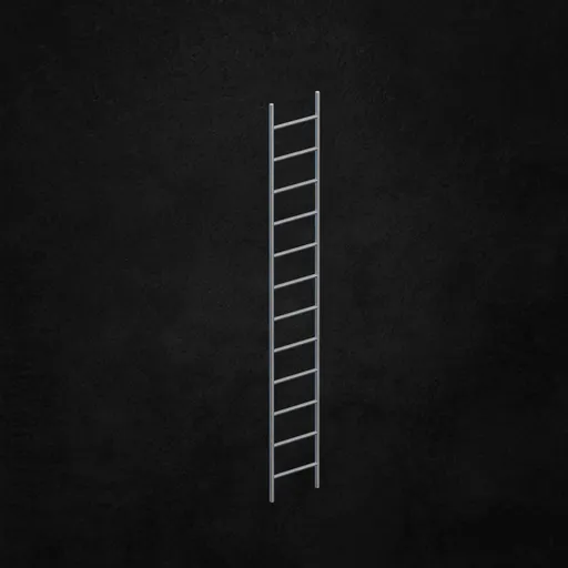 Exterior ladder