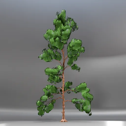 Pine Toon Tree