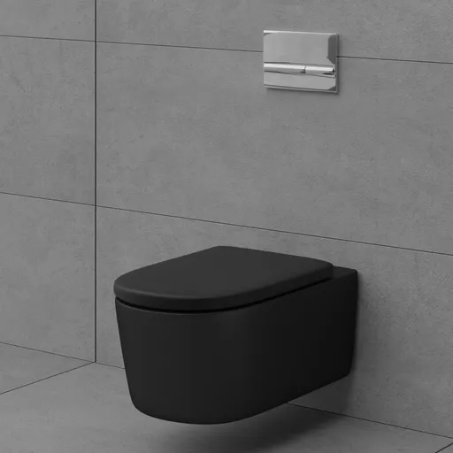 Toilet (Wall Hung Toilet)