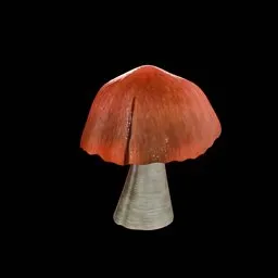 Mushrooms