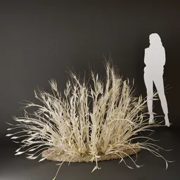 SJ-Dried Elegant Bush Display