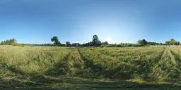Grass Nature Landscape