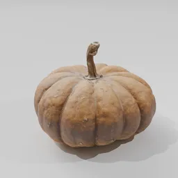 Small Pumpkin