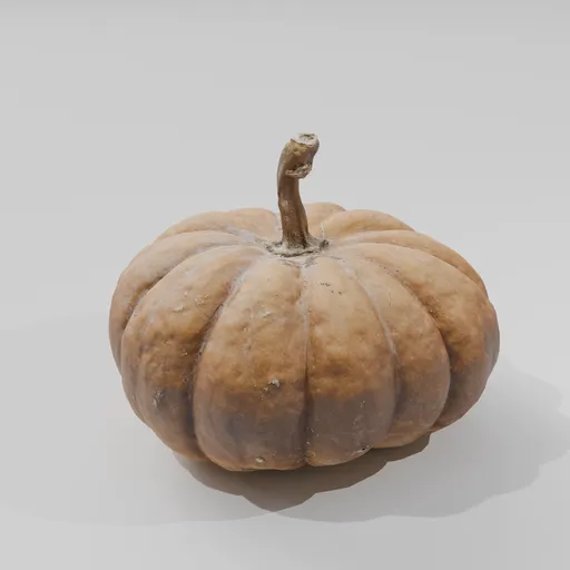 Small Pumpkin