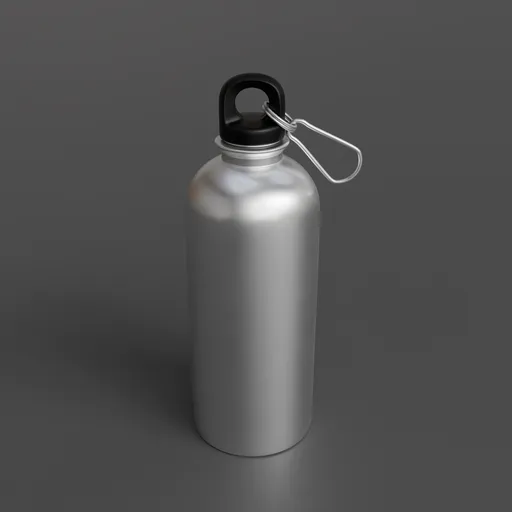 Sipper water bottle