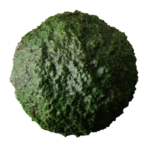Realistic Forest Moss Ground