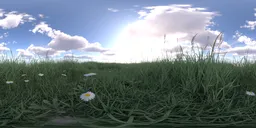 Morning grass green cloud