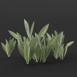 Flowers Small No Flower