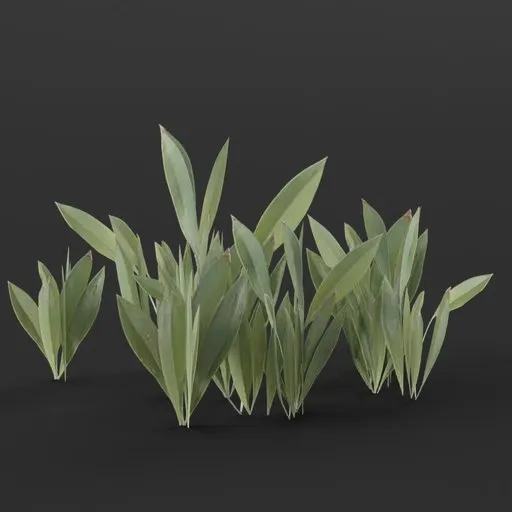 Flowers Small No Flower