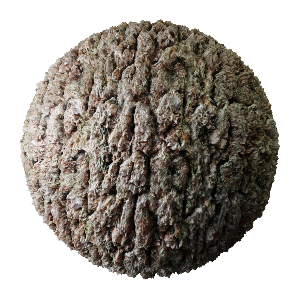 BlenderKit Download the FREE Bark Rough Pine material