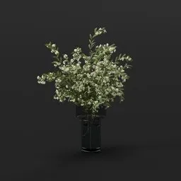 White Blossom Branches