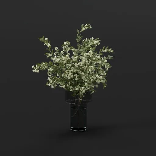 White Blossom Branches