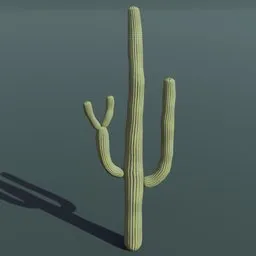 Detailed 3D saguaro cactus model for architectural visualization and game asset, compatible with Blender.