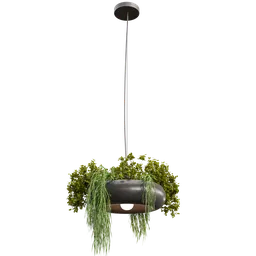 Pendant light with plants b
