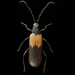 Realistic Bug