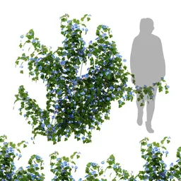 flower ivy wall plant