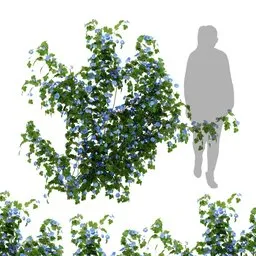 flower ivy wall plant