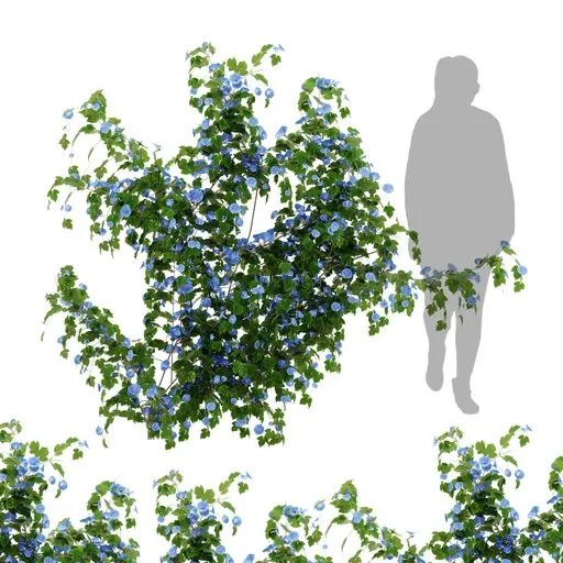 flower ivy wall plant
