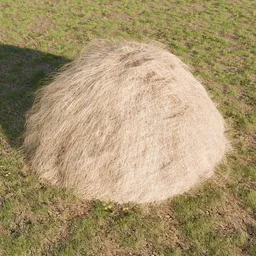 Hay Stack