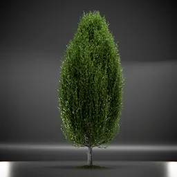 Tree Columnar European Animated