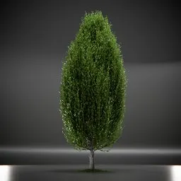 Tree Columnar European Animated
