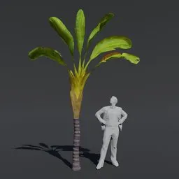 "High-quality Tree Banana Palm 3D model for Blender 3D with PBR textures and materials. Perfect for game assets and cinematic scenes. Includes substance designer height map and realistic vegetable foliage."