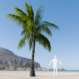 Coconut Tree Rigged and Animated